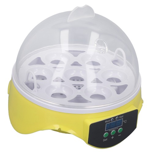Eggs incubator easy - eggs,