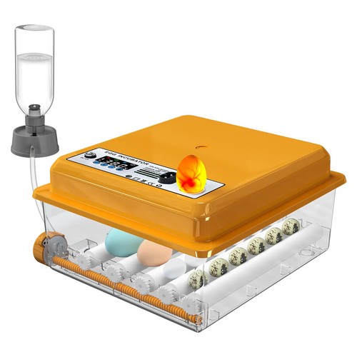 Chalixion incubator for - , 16