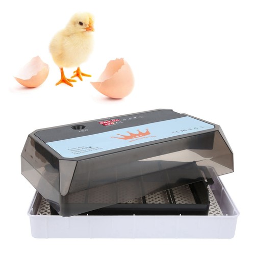 110v eggs incubator full - 110v,