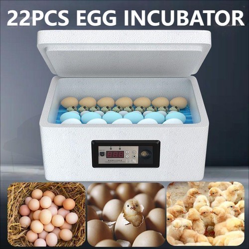 Semi automatic 22pcs egg - semi-automatic,