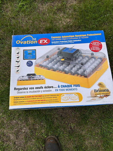 Brinsea ovation egg - ovation,