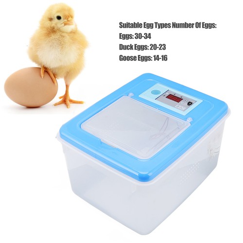 Electric chicken incubator - electric,