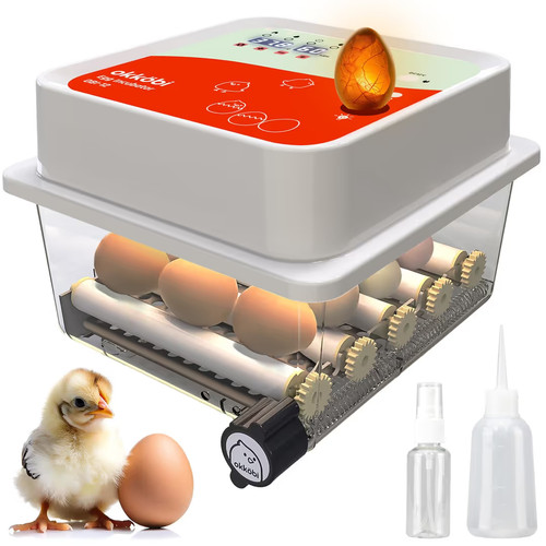 Okköbi obi egg - obi-12, incubator