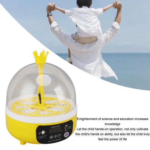 Mini chicken egg incubator - mini,