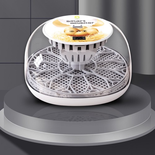 Digital egg incubator - digital, 12-egg