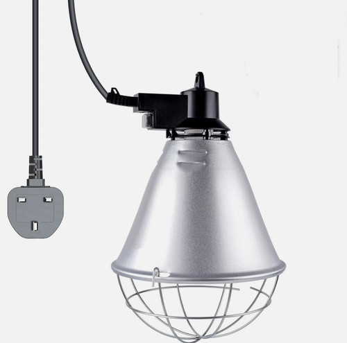 Poultry heat lamp - poultry,