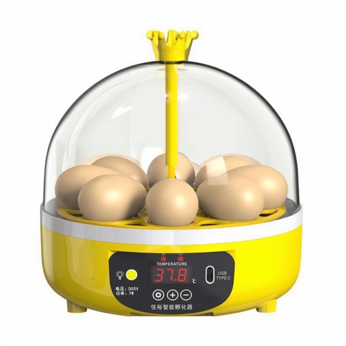 Compact egg incubator built - egg, built-in