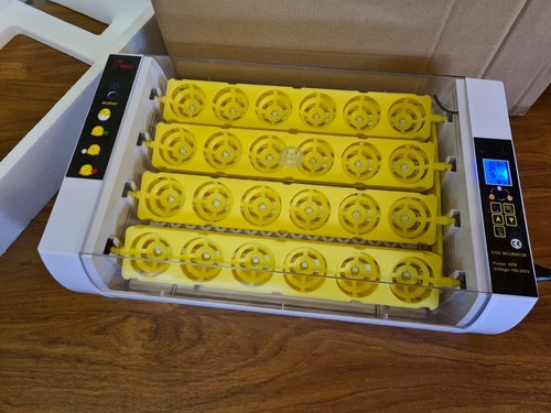 Eggs incubator temperature - 24,