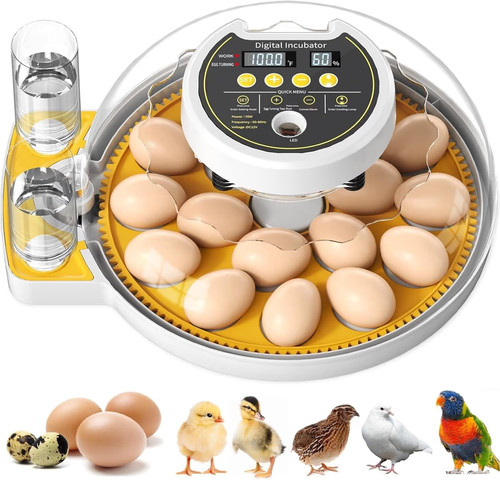 Egg incubator full - full, automatic