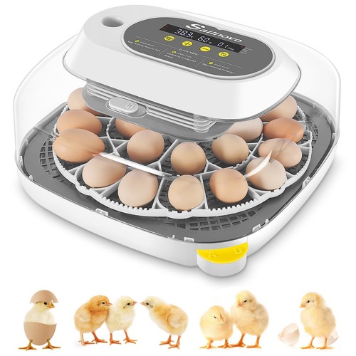Sailnovo egg incubator eggs - 24,