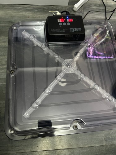 Exo terra pt2444 incubator - exo,