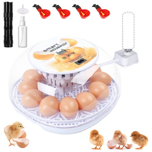 Maxawe incubator for - 12, eggs