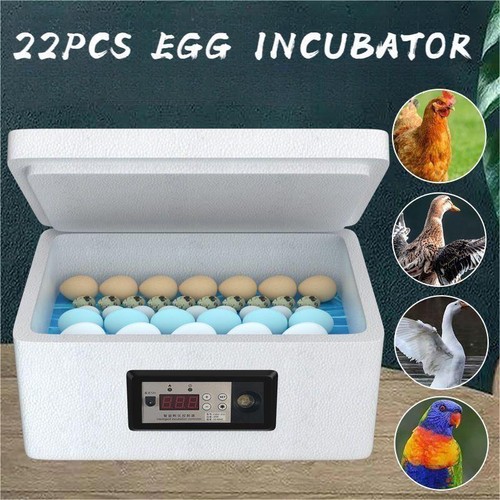 Egg incubator for hatching - for,