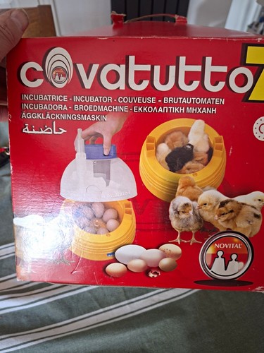 Novital covatutto egg - novital,