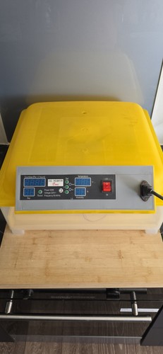 Egg incubator fully - egg,