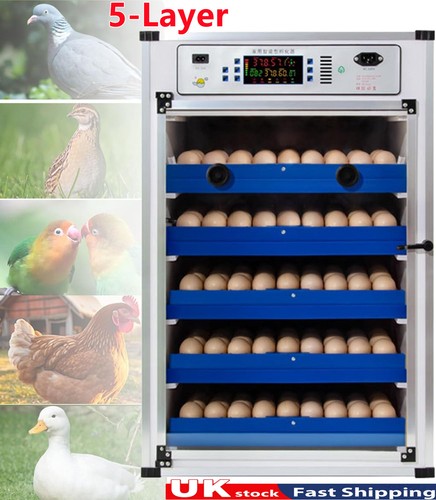 340 automatic digital - digital, eggs