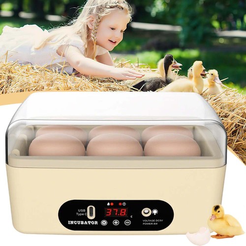 Eggs mini incubator - 6, poultry